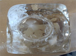 かき氷の作り方5
